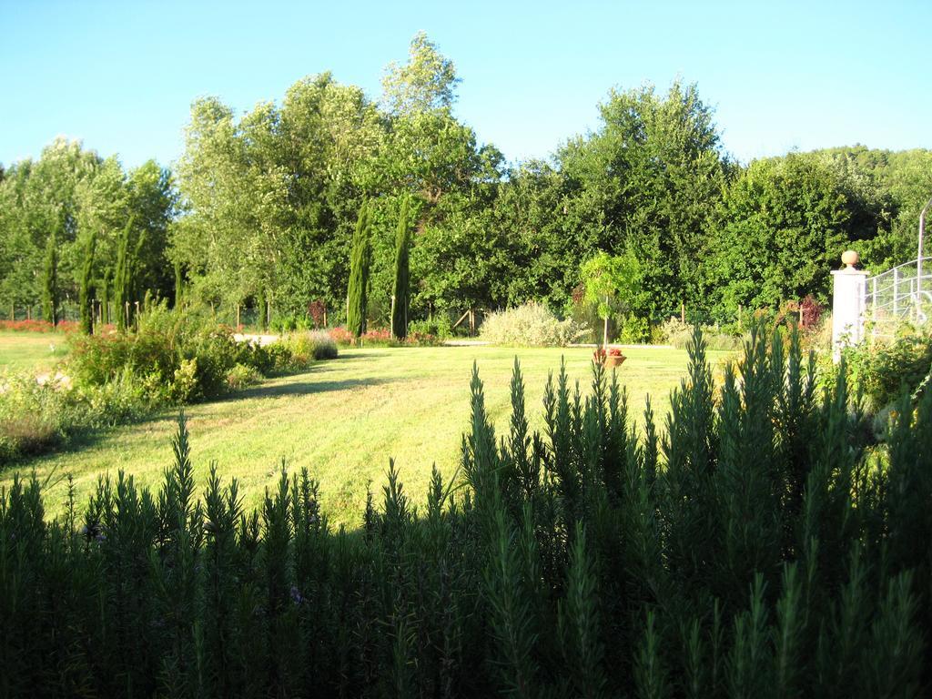 Agriturismo Il Molino Antico - 5 Girasoli سبوليتو المظهر الخارجي الصورة